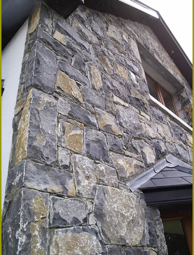 Stone.Cladding.Light.Limestone1.400.by.525